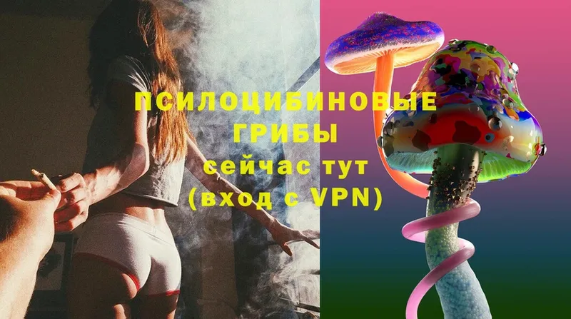 Псилоцибиновые грибы Magic Shrooms  Рубцовск 